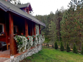 Vila Jelka
